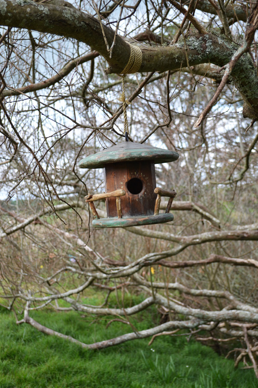 Wooden birdhouse in Hobbiton, New Zealand