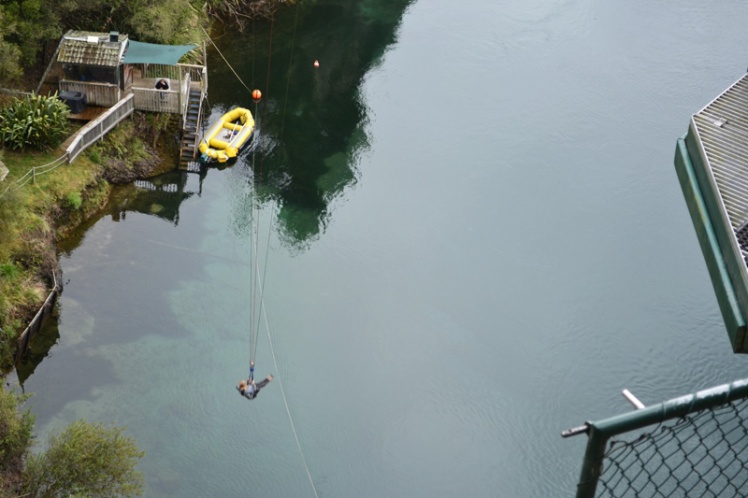 bungee8